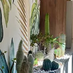 ゲストハウス Athenea Smart - Atenea Collection